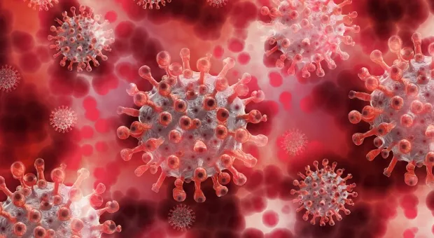 Обнаружено новое печальное последствие коронавируса