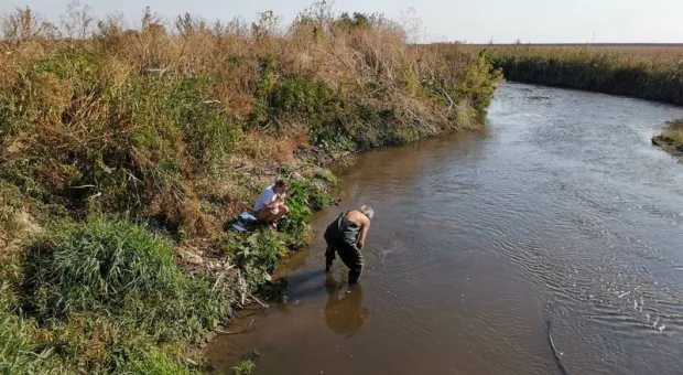 В самой длинной реке Крыма обнаружили «химический СПИД»