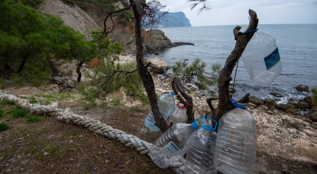 Лес между «Серебряным» и «Золотым» пляжами Севастополя превратили в помойку 