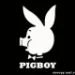 Profile picture for user Pigboy