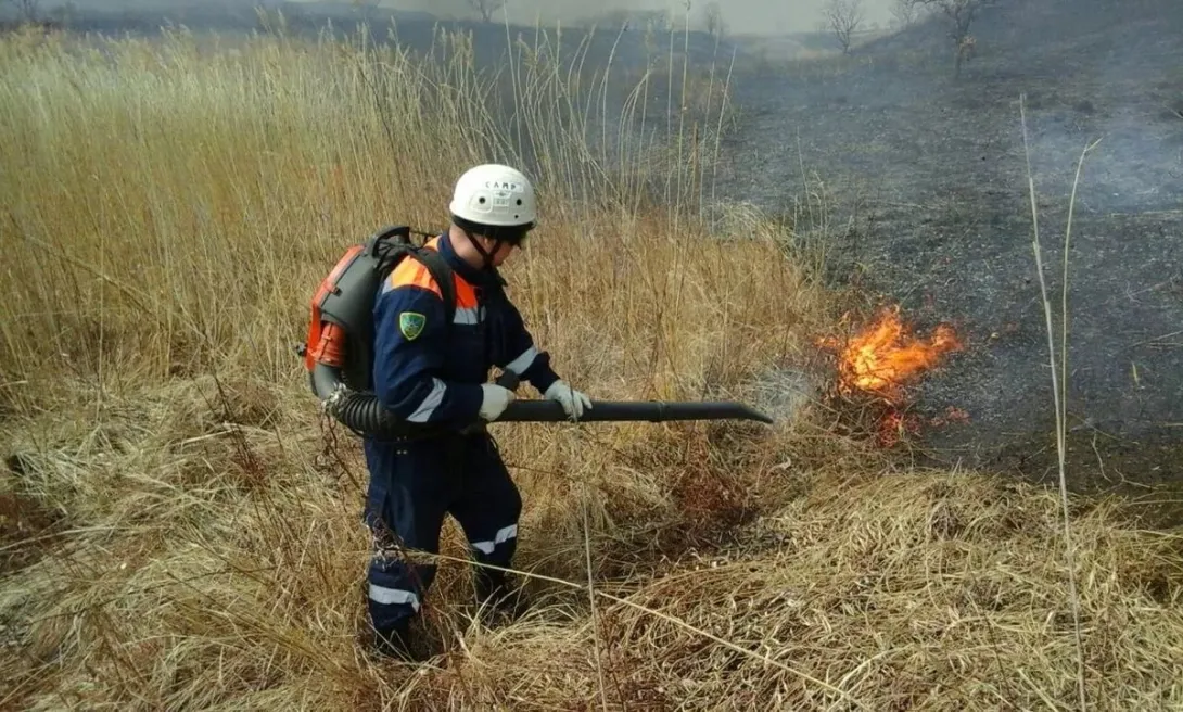 Площадь лесных пожаров в Приморье за сутки выросла почти на 700 га