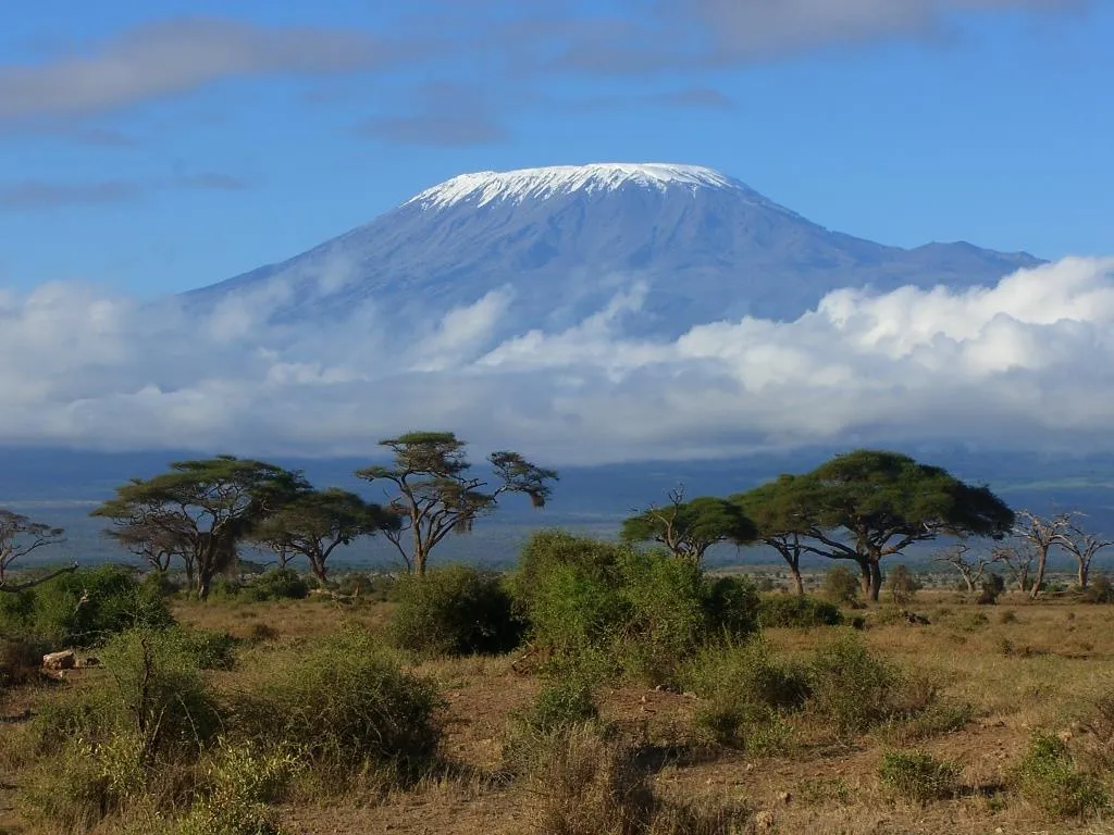 Альпинисты из ДНР развернули флаг Республики на вершине Килиманджаро