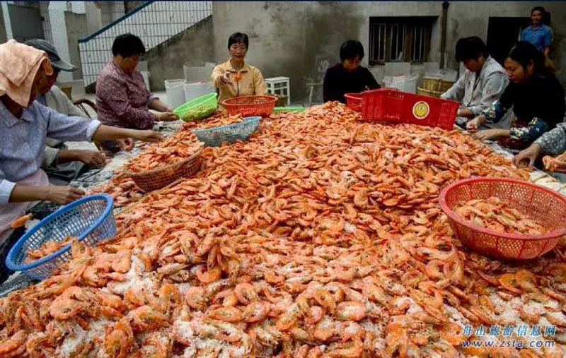 Аксёнов поможет китайскому производству морепродуктов