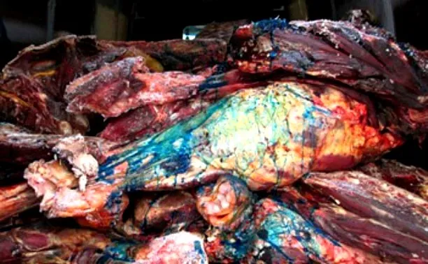 Опасные мясо и рыбу в Севастополе уничтожают зелёнкой
