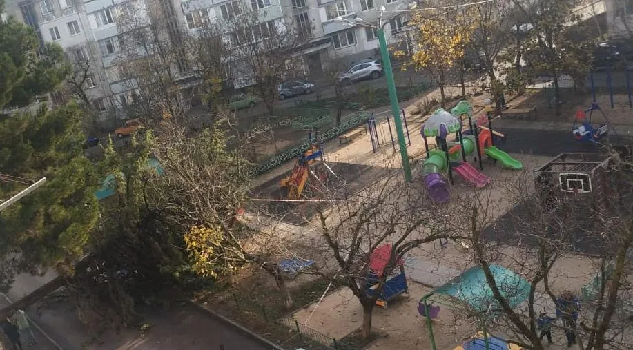 В Севастополе на детскую площадку упало дерево