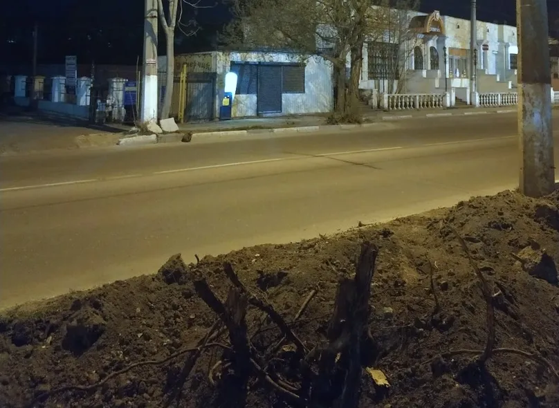 Ещё одну дорогу в центральной части Севастополя расширяют за счёт деревьев 