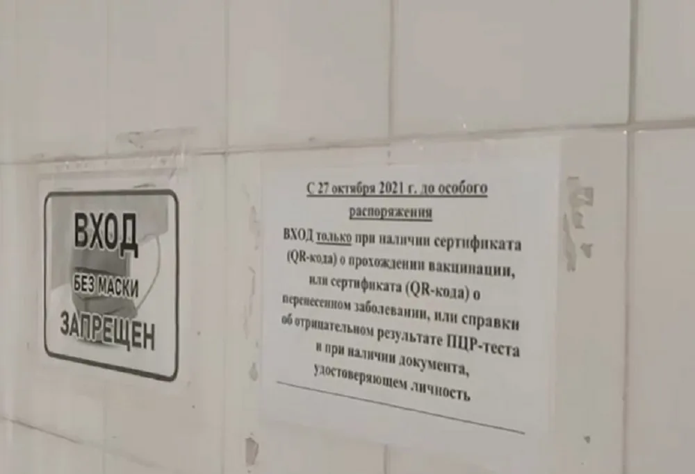 Севсети #1350. Петербургский шлёпинг в Севастополе и туалеты по QR-коду в Крыму