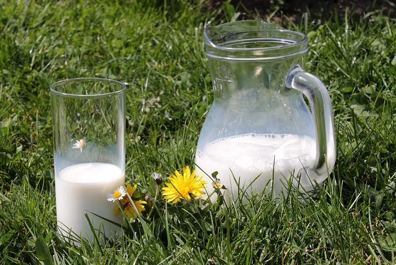 В Крым вольют «молочных» инвестиций на 200 миллионов рублей