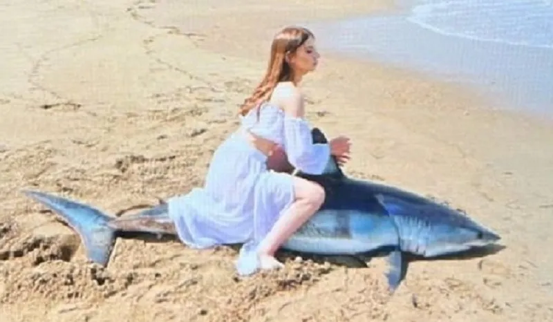 Фотограф и модель устроили фотосессию верхом на умирающей акуле