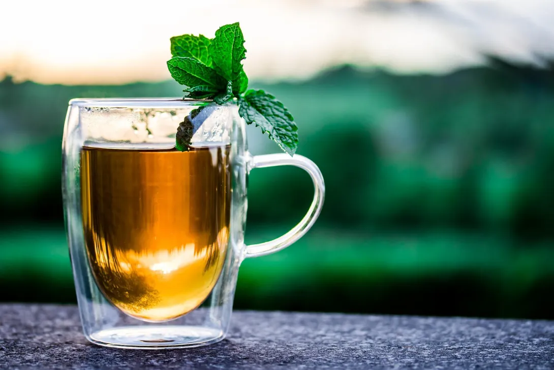 Учёные выявили, что люди, пьющие определённое количество чая, дольше живут