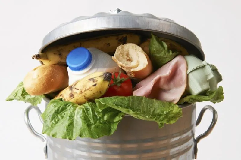Еда на выброс: почему школьные обеды летят в мусорники?