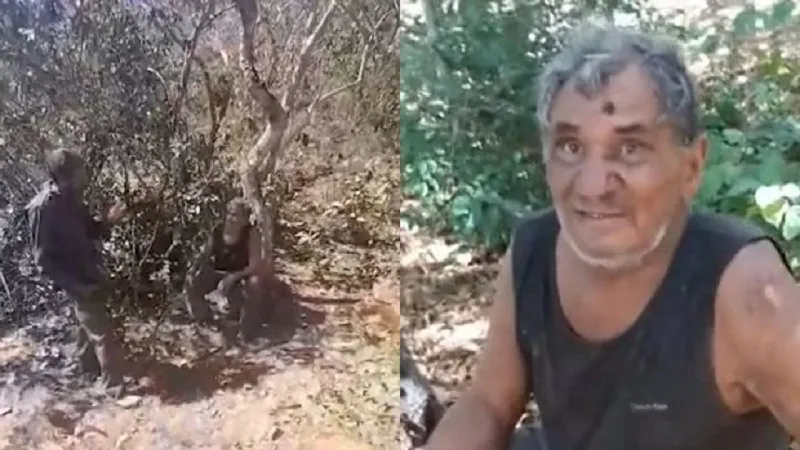 Пропавшего в лесу мужчину спасли настойчивость его сына, термиты и моча