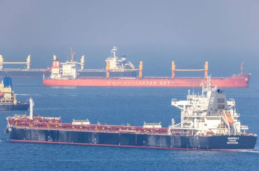 Турция вряд ли обеспечит защиту судам, выходящим из портов Украины