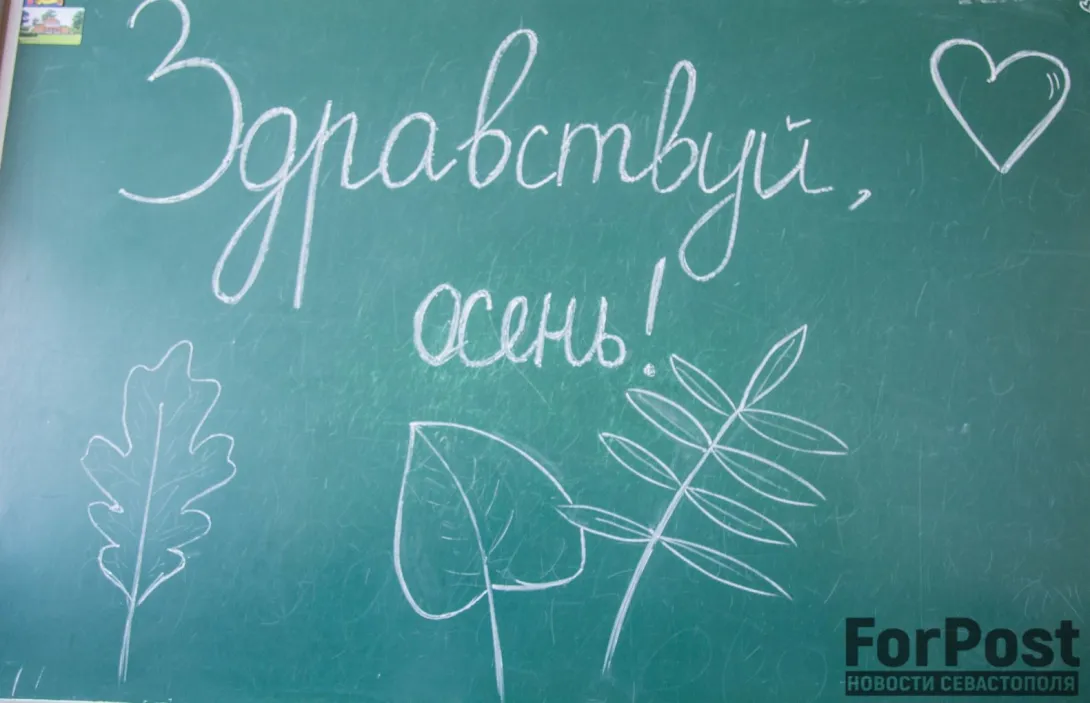Несколько севастопольских школ получили сообщения о минировании 