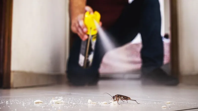 Мужчина устроил взрыв, пытаясь убить одного таракана