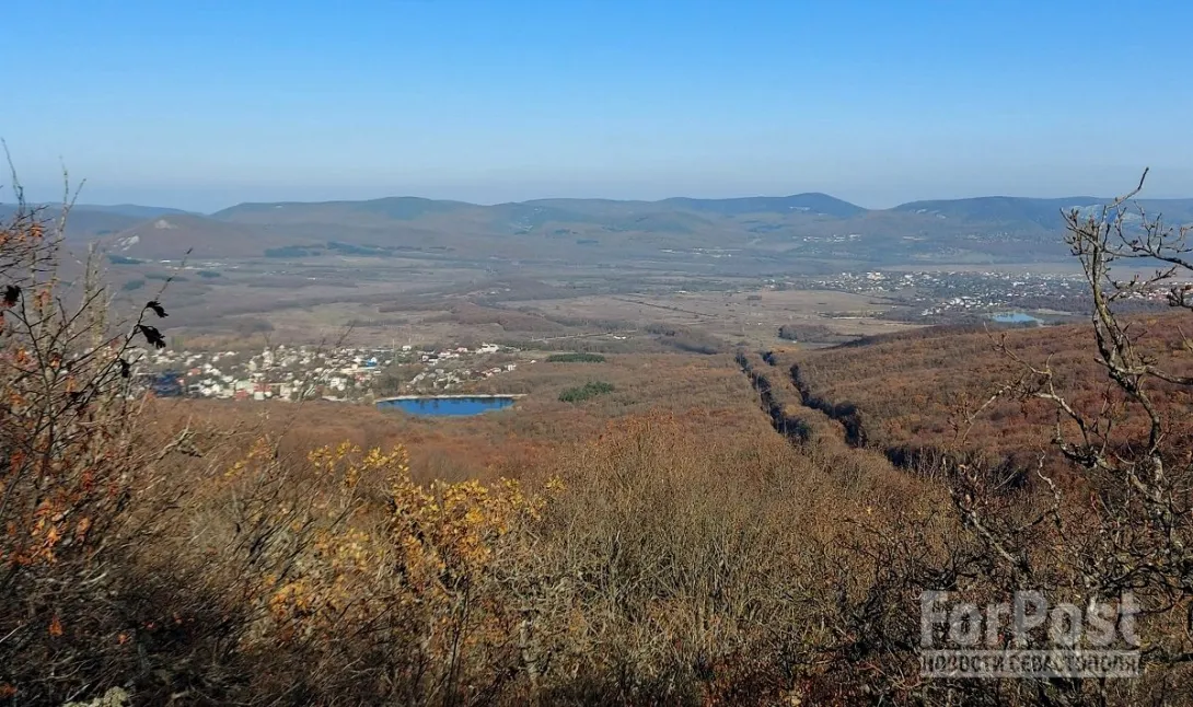В Байдарской долине Севастополя вырубили шестнадцать дубов 