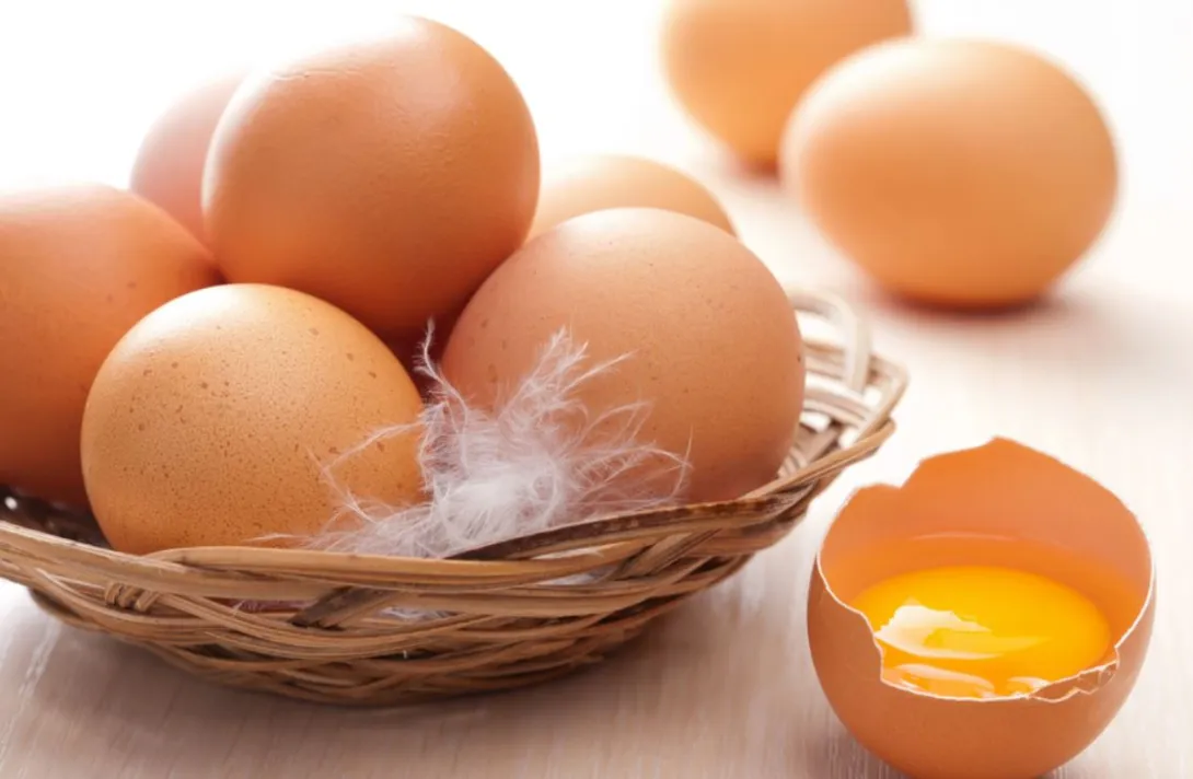 Правительство определило порядок беспошлинного импорта яиц в РФ в первом полугодии 2024 года