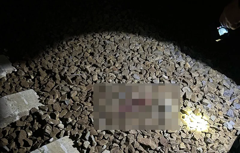 В Крыму мужчина выжил после наезда поезда