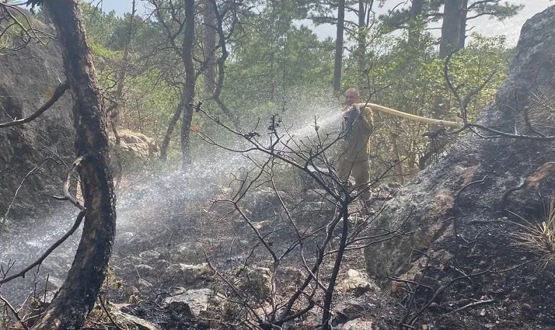 На юге Крыма заповедные леса загорелись в трёх местах