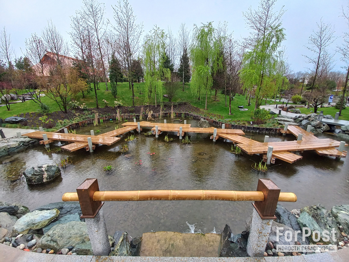 краснодар японский сад парк Галицкого