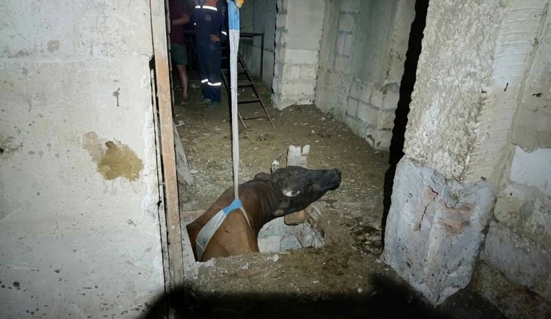 крым белогорский район бык подвал заброшенное здание крым-спас
