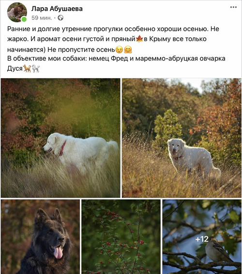 севастопольская осень какая она