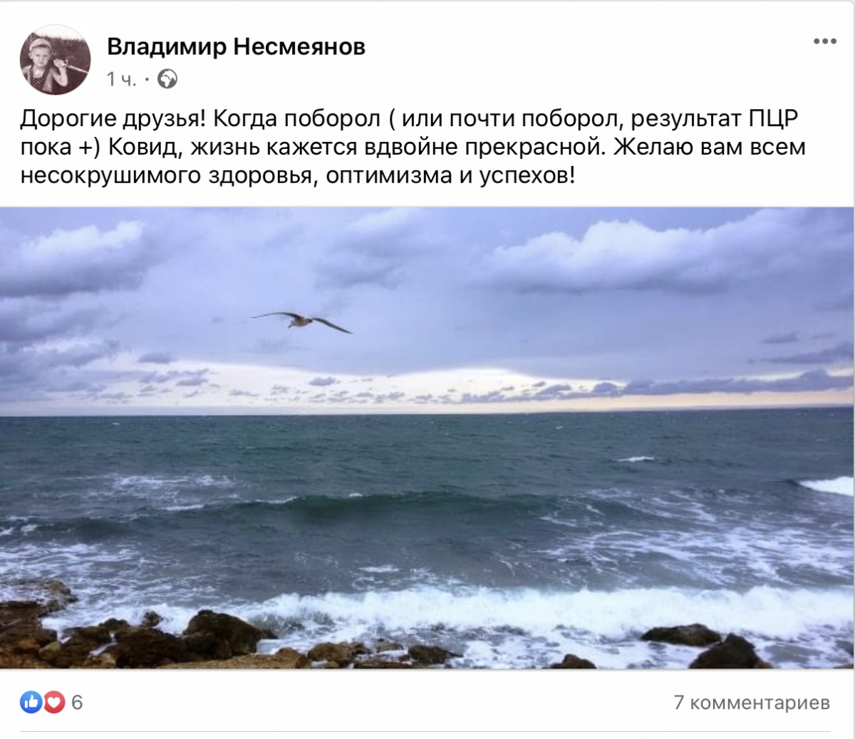 севсети город севастополь люди посты сообщения новости форпост