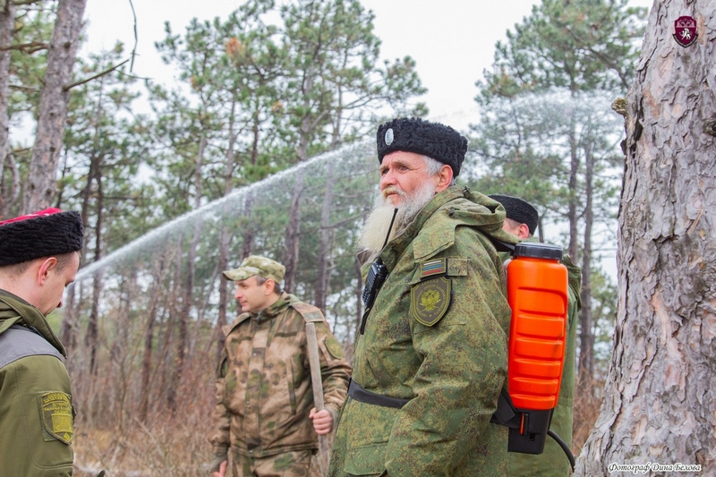 Казаков призвали на защиту крымских лесов