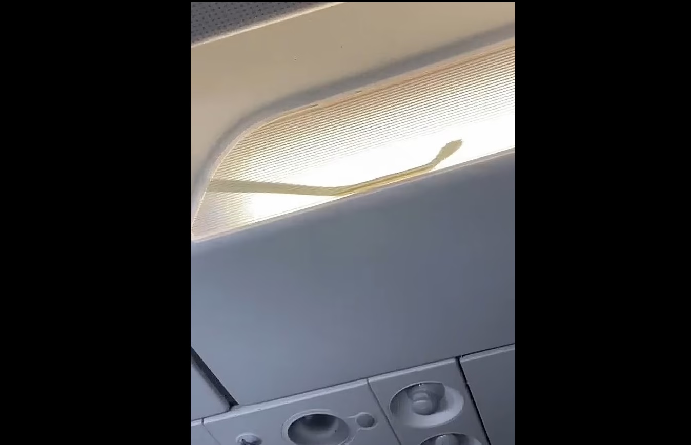 Пассажирский самолёт пришлось экстренно сажать из-за змеи