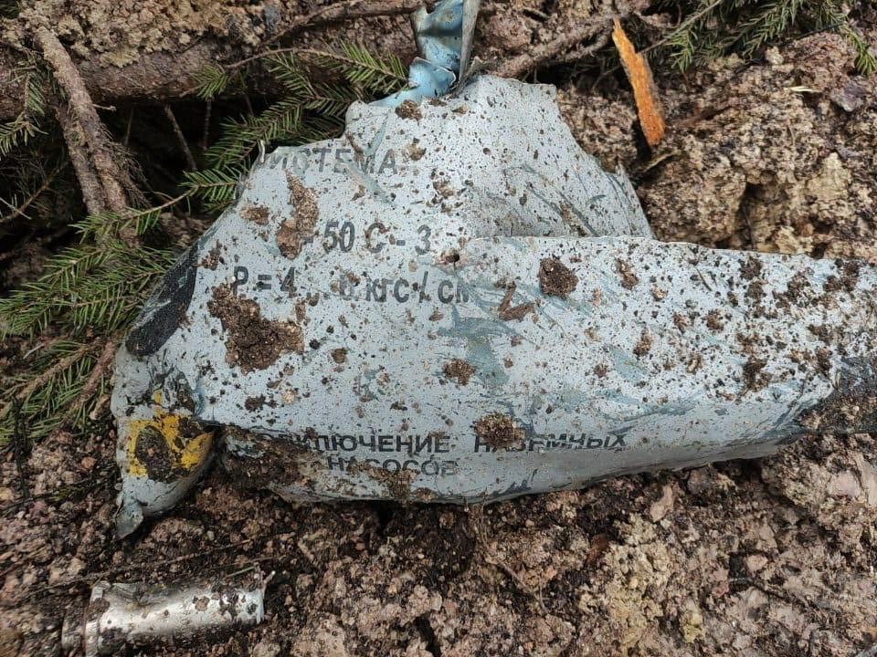 Истребитель МиГ-31 рухнул в Ленобласти