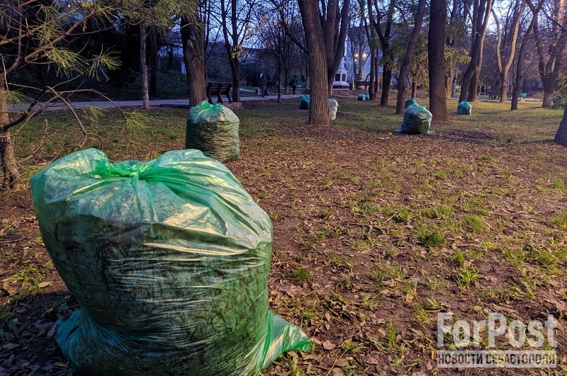 Не грести под одну гребёнку: в Крыму советуют пересмотреть подход к уборке листьев