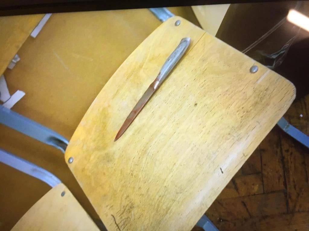 12-летняя школьница нанесла однокласснице больше 100 ножевых ранений