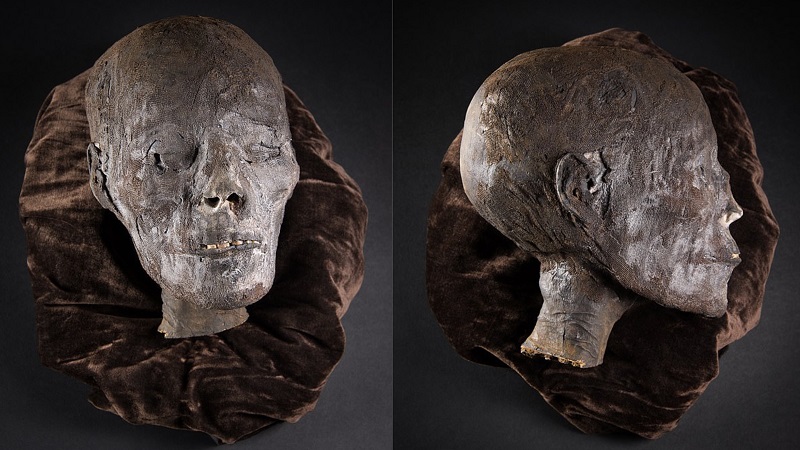 Голова древней мумии сто лет ждала в шкафу своего часа