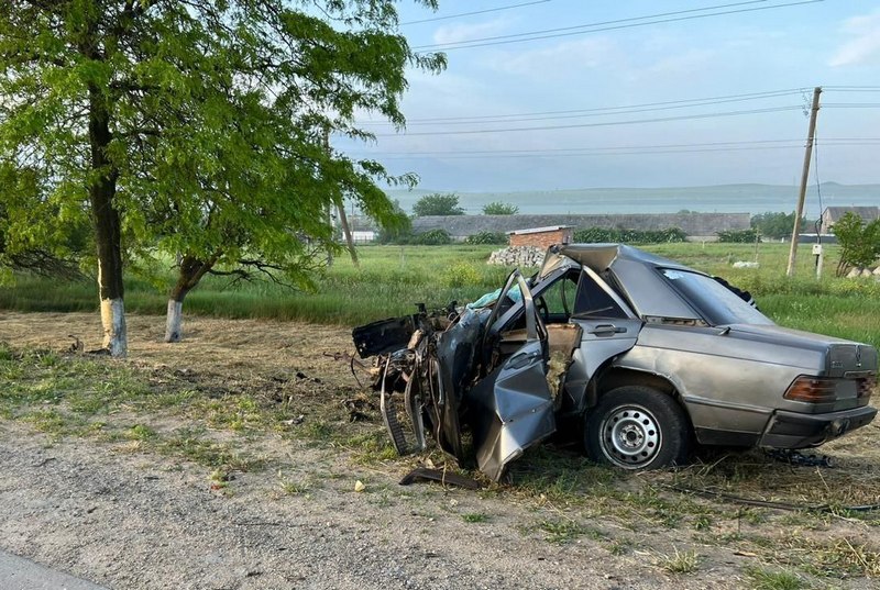 В ДТП с деревом на востоке Крыма погиб водитель