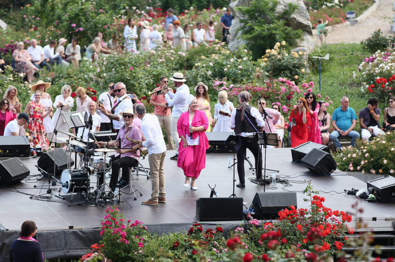 Природа искусства танцы