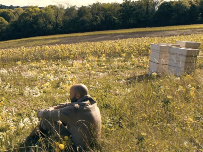 Фильм пчеловод