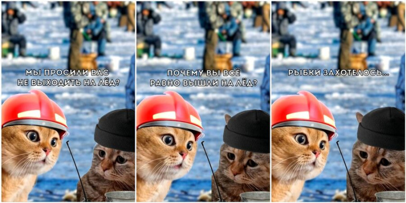 Смешные мемы