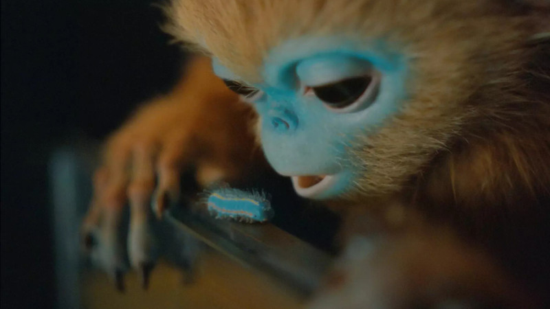 Очи 2025 отзывы