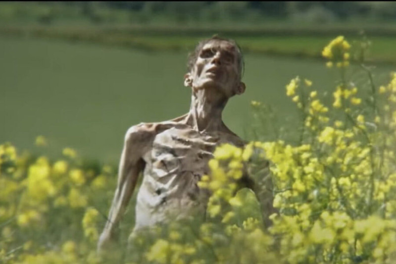 28 лет спустя 2025