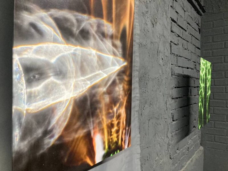 Фотография блик