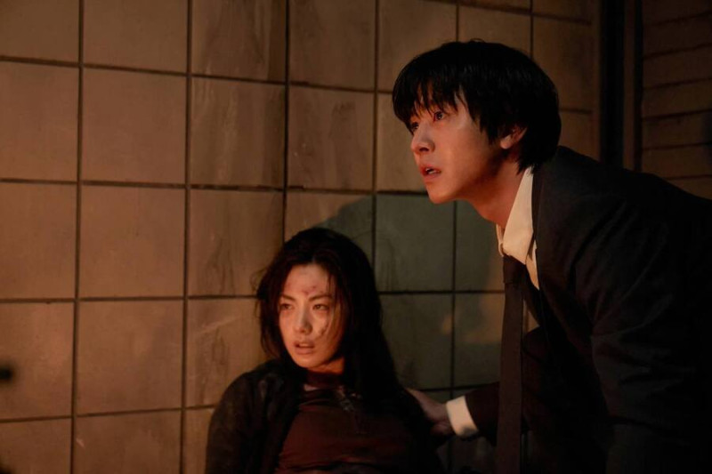 Всеведущий читатель 2025