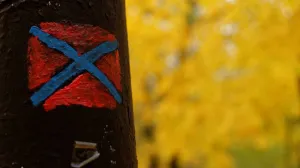 Донецкая диктатура как она есть