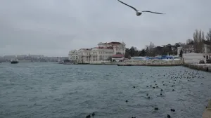 Три дождливых и холодных дня ждут Севастополь