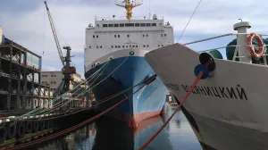 Силовики всё-таки проверят Севморпорт