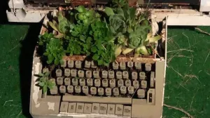 «Не читайте и не смотрите» ForPost и НТС. Читайте Горбачева 