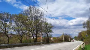 В Крыму из-за COVID-19 будут тормозить все автомобили с неместными номерами