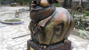 Севастопольский поросенок проиграл комару и странному влюбленному