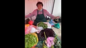 Англоязычная тиктокерша устроила в Крыму переполох 