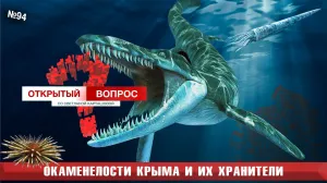 Древние окаменелости из севастопольского музея вернулись в гараж