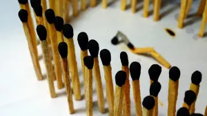 Культура отмены отменит и мировую демократию